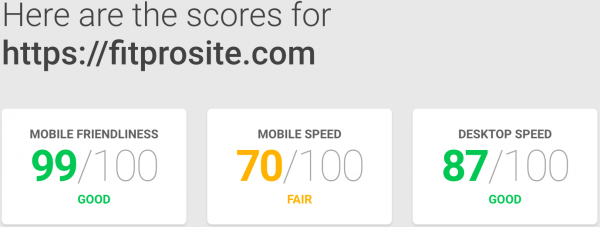 FitPro Site mobile score